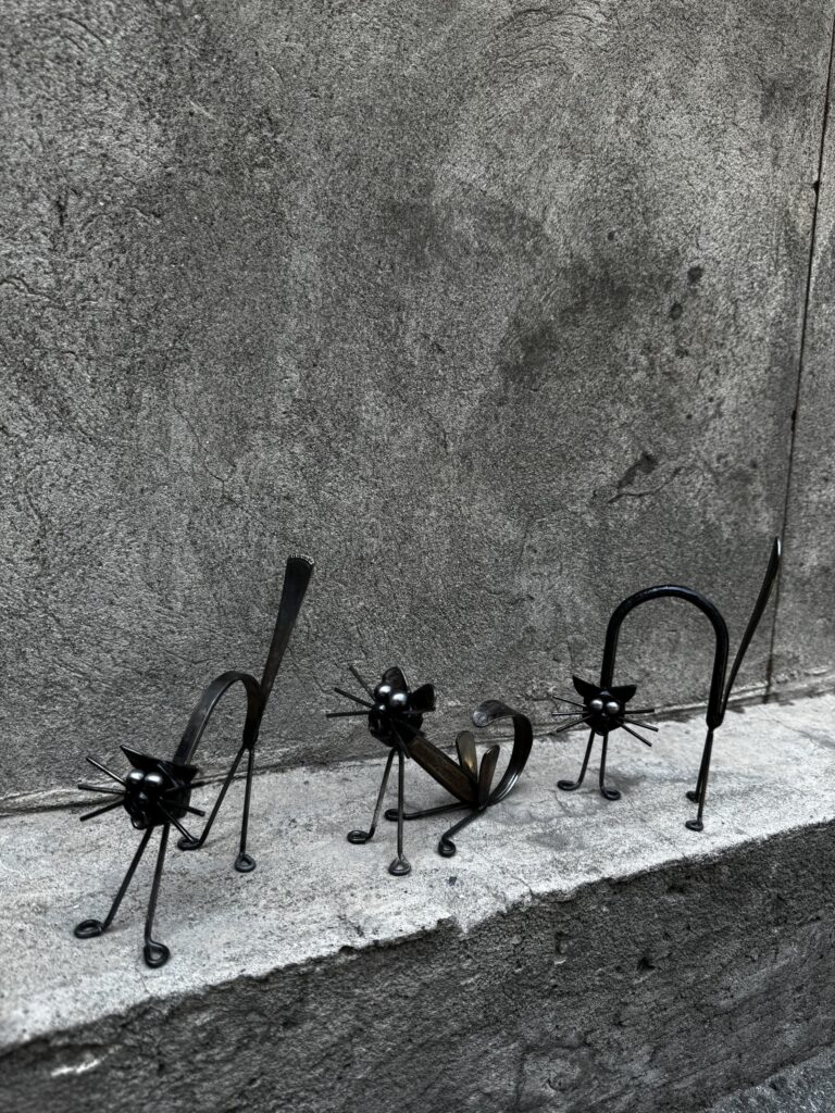 Три кота - unprocessed source photograph